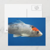 Mijn Pet Koi Fish Briefkaart (Voorkant / Achterkant)