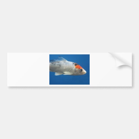 Mijn Pet Koi Fish Bumpersticker (Voorkant)