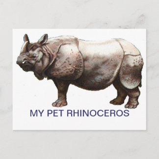 MIJN PET RHINOCEROS BRIEFKAART