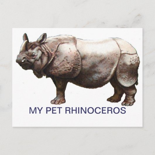 MIJN PET RHINOCEROS BRIEFKAART (Voorkant)