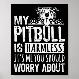 Mijn Pitbull is onheilspellend voor mij... je moet Poster