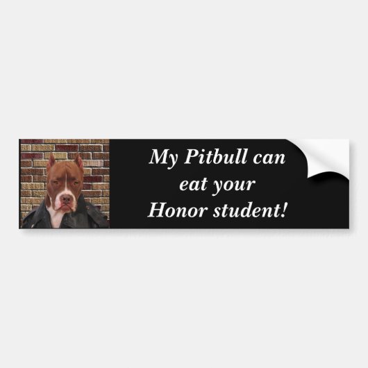 Mijn Pitbull kan je opeten... Bumpersticker (Voorkant)