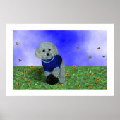 Mijn poedel en zijn bal. poster (Voorkant)