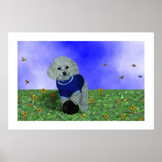 Mijn poedel en zijn bal. poster (Voorkant)