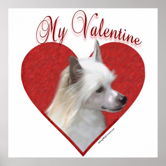 Mijn Powderpuff Chinees kuifje Valentijn Poster (Voorkant)