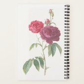 Mijn Prayer Journal Notitieboek (Achterkant)