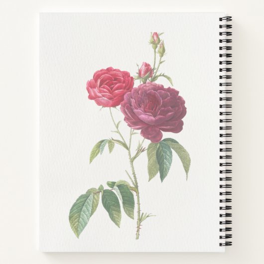 Mijn Prayer Journal Notitieboek (Achterkant)