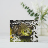 Mijn prins briefkaart (Staand voorkant)