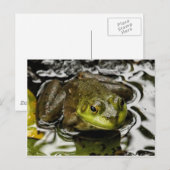 Mijn prins briefkaart (Voorkant / Achterkant)