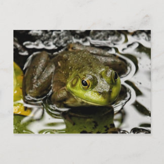 Mijn prins briefkaart