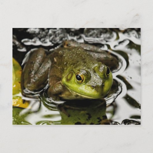 Mijn prins briefkaart (Voorkant)