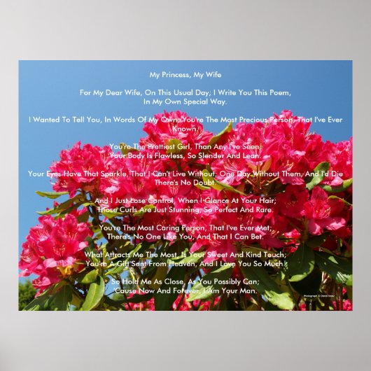 Mijn prinses, mijn vrouw poster (Voorkant)