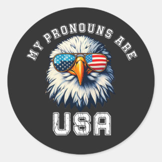 Mijn Pronouns Zijn USA Ronde Sticker