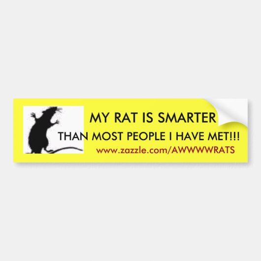 MIJN RAT IS KLEINER DAN DE MEESTE MENSEN ... BUMPERSTICKER (Voorkant)