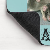 MIJN RAT PAD... FUNNY!!! MUISMAT (Hoek)