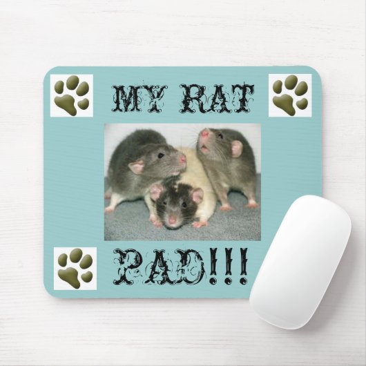 MIJN RAT PAD... FUNNY!!! MUISMAT (Met muis)