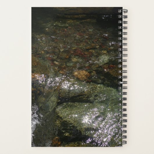 Mijn reisdagplanner planner (Achterkant)