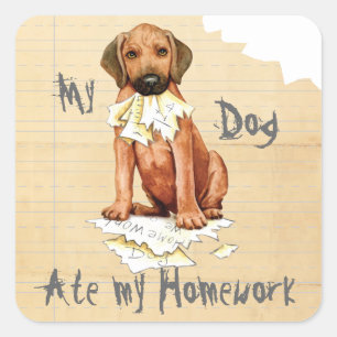 Mijn Rhodezische Ridgeback Ate Homework Square Sti Vierkante Sticker