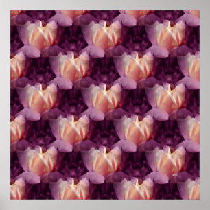 Mijn Roos bed.... Poster