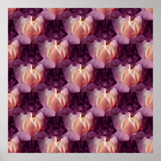 Mijn Roos bed.... Poster (Voorkant)