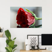 Mijn Roos van Birthday. Poster (Thuiskantoor)