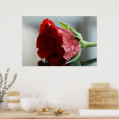 Mijn Roos van Birthday. Poster (Keuken)