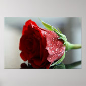 Mijn Roos van Birthday. Poster (Voorkant)