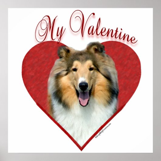 Mijn Rough Collie Valentijn Poster (Voorkant)