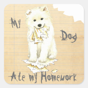 Mijn Samoyed Ate mijn thuiswerk Vierkante Sticker