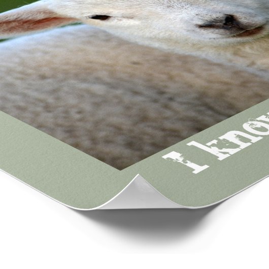 Mijn schaap hoort mijn stem, Bijbel Verse John 10: Poster (Hoek)