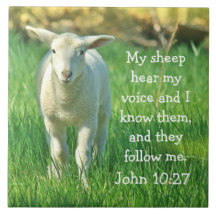 Mijn schaap hoort mijn stem, Bijbel Verse John 10:
