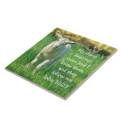 Mijn schaap hoort mijn stem, Bijbel Verse John 10: Tegeltje (Zijkant)