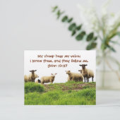 Mijn schaap hoort mijn stem, Bijbelse John 10:27,  Briefkaart (Staand voorkant)