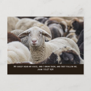 Mijn schaap hoort mijn stem, Johannes 10:27, Briefkaart