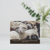 Mijn schaap hoort mijn stem, Johannes 10:27, Briefkaart (Staand voorkant)