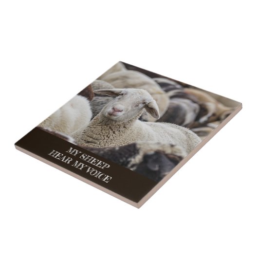 Mijn schaap hoort mijn stem, scripts, schapen in b tegeltje (Zijkant)