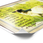 Mijn schapen horen mijn stem 5 x 7 foto afdruk (Hoek)