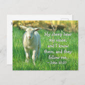 Mijn schapen horen mijn stem, Johannes 10:27 Bijbe Briefkaart (Voorkant / Achterkant)