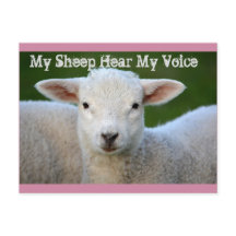 Mijn schapen horen mijn stem, Johannes 10:27 Bijbe