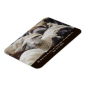 Mijn schapen horen mijn stem, Schrift, Schapen in Magneet (Linkerzijde)