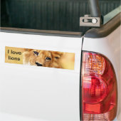 Mijn schattige leeuwgezicht bumpersticker (Op Truck)