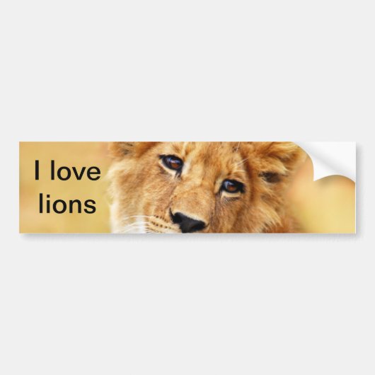 Mijn schattige leeuwgezicht bumpersticker (Voorkant)