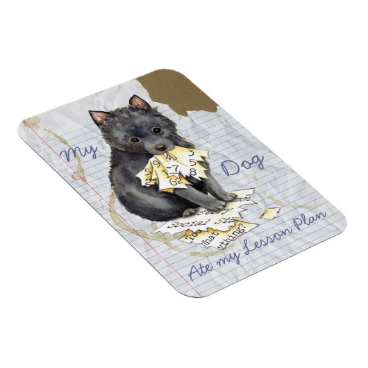 Mijn Schipperke Ate Mijn Lesson Plan Magneet (Rechterzijde)