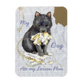 Mijn Schipperke Ate Mijn Lesson Plan Magneet (Verticaal)