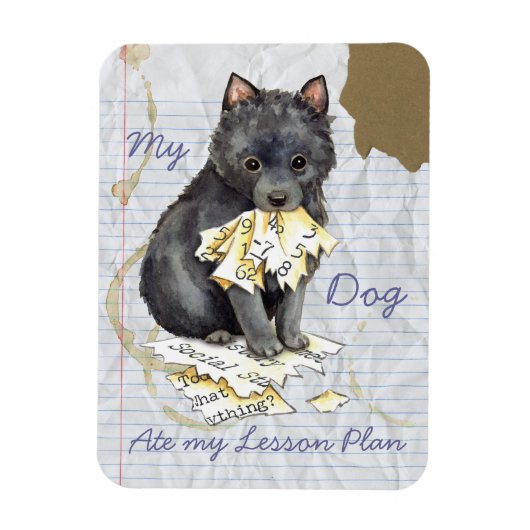 Mijn Schipperke Ate Mijn Lesson Plan Magneet (Verticaal)