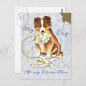 Mijn Sheltie Ate mijn Lesson Plan Briefkaart (Voorkant / Achterkant)