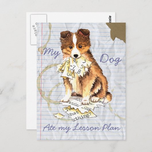 Mijn Sheltie Ate mijn Lesson Plan Briefkaart (Voorkant / Achterkant)