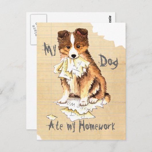 Mijn Sheltie Ate mijn thuiswerk Briefkaart (Voorkant / Achterkant)