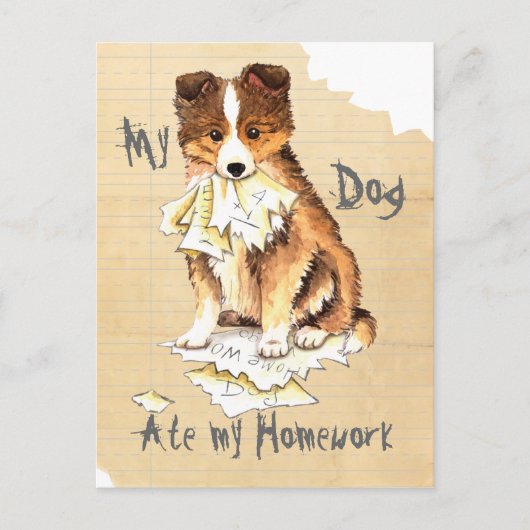 Mijn Sheltie Ate mijn thuiswerk Briefkaart (Voorkant)