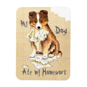 Mijn Sheltie Ate mijn thuiswerk Magneet